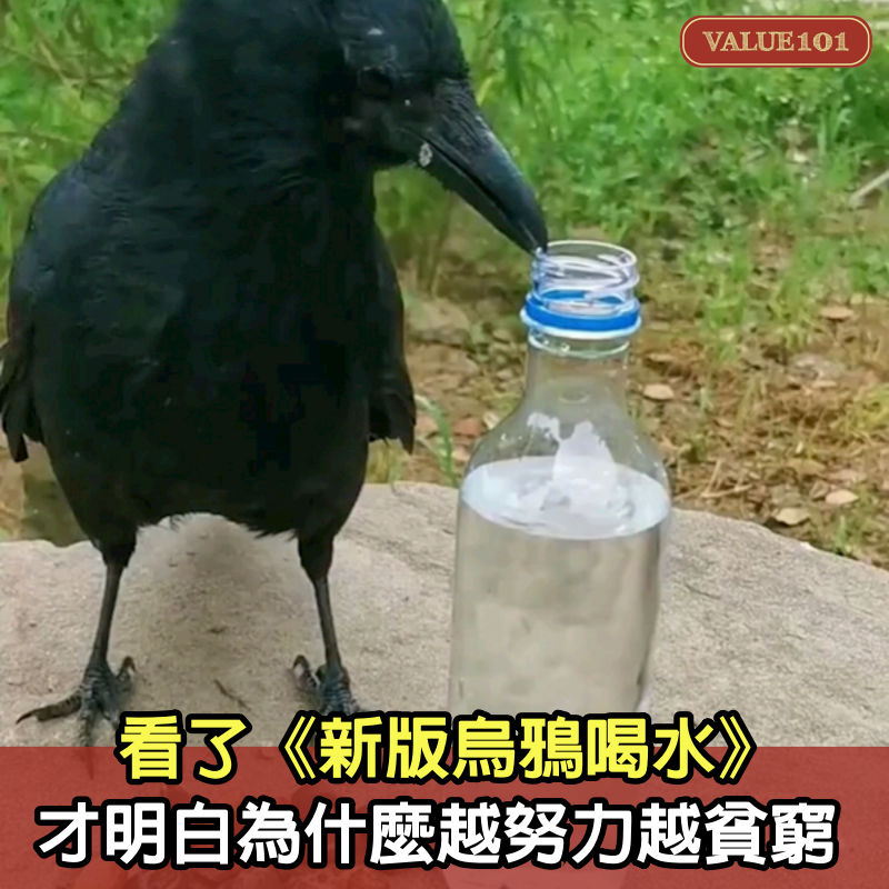 看了《新版烏鴉喝水》，我才明白為什麼有的人越努力越貧窮