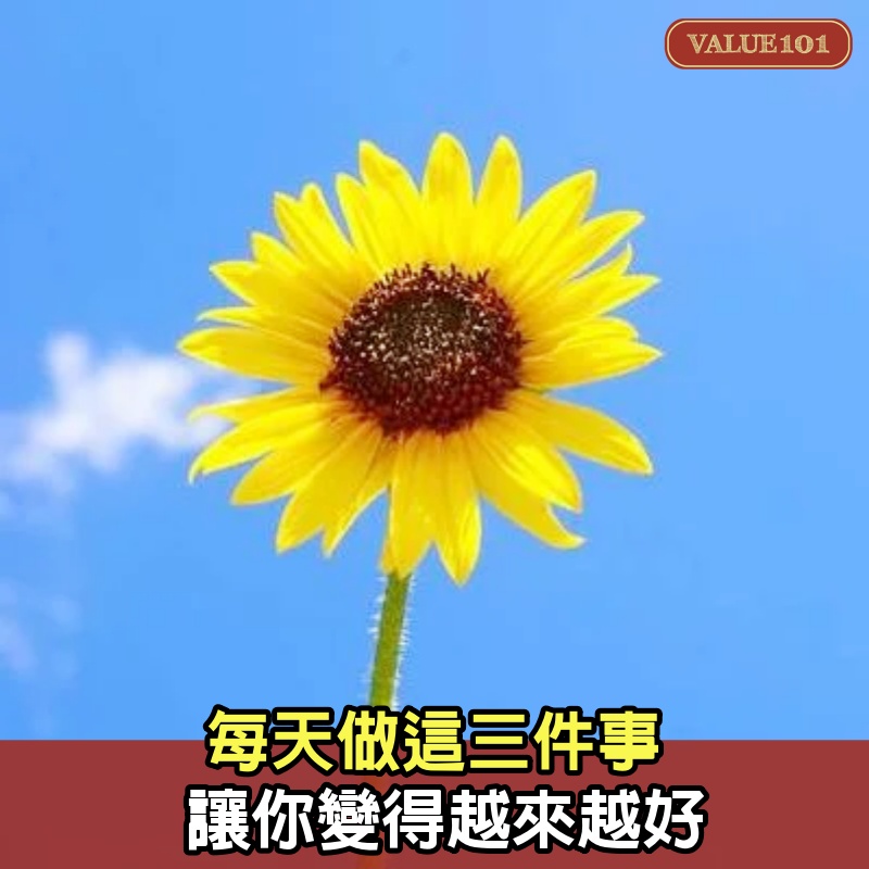 每天做這3件事，讓你變得越來越好