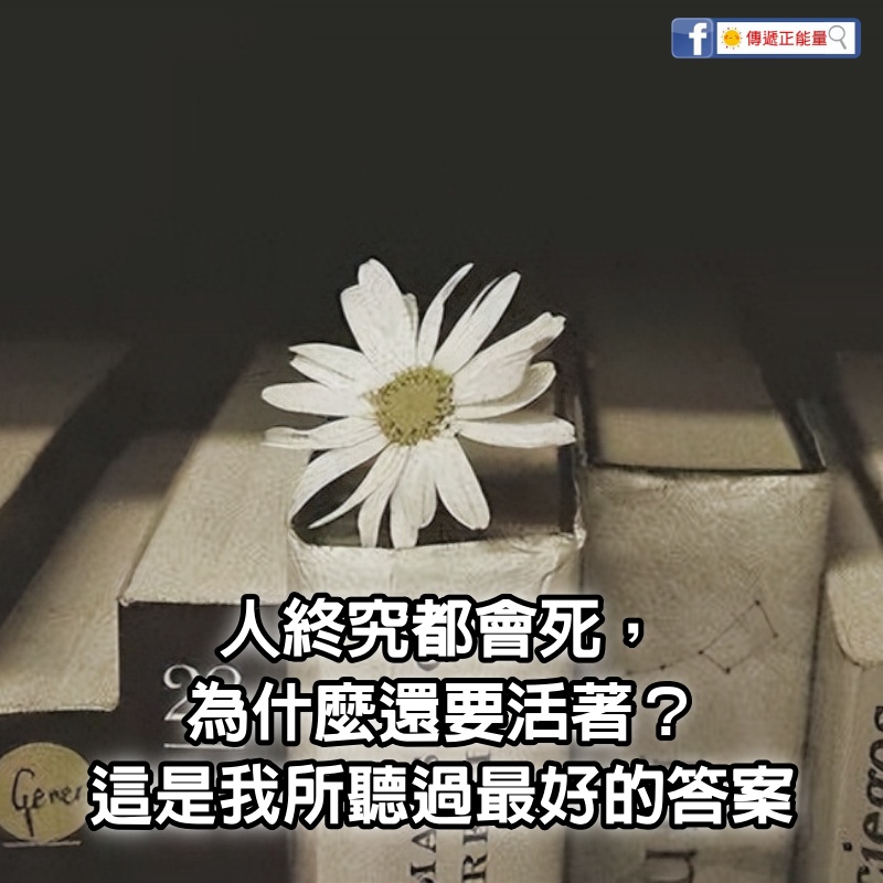 人終究都會死，為什麼還要活著？這是我所聽過最好的答案