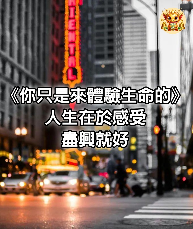 《你只是來體驗生命的》：人生在於感受，盡興就好