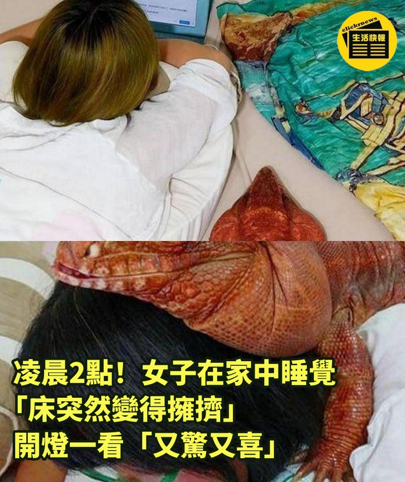 凌晨2點！女子在家中睡覺「床突然變得擁擠」，開燈一看「又驚又喜」