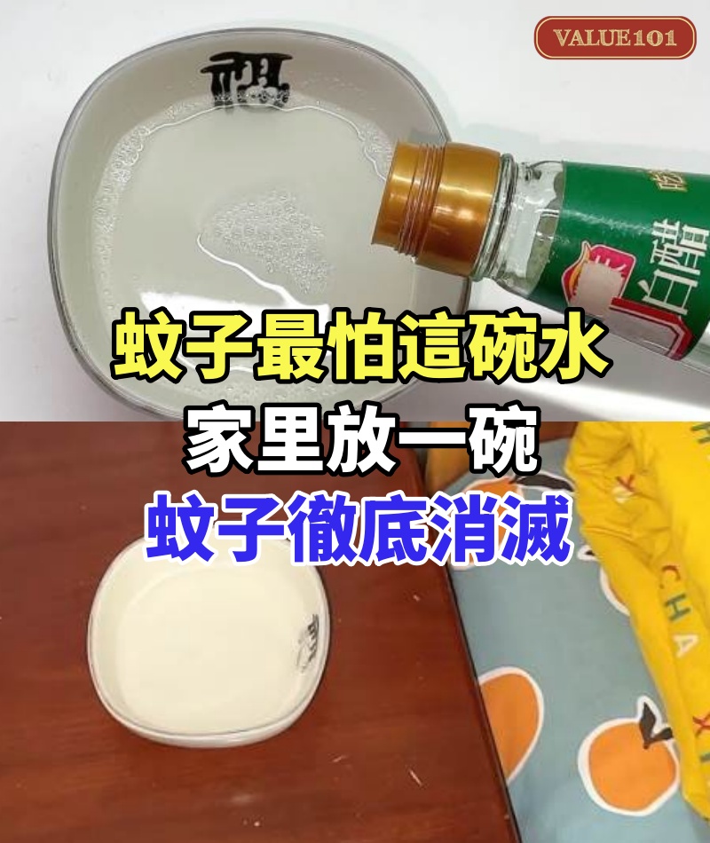 原來蚊子最怕這碗水,家里放一碗,蚊子徹底消滅一只不剩