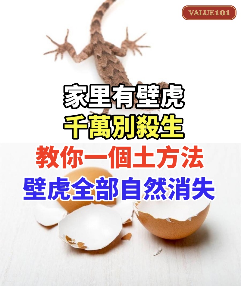 家里有壁虎,千萬別殺生!教你一個土方法,家裡的壁虎全部自然消失!