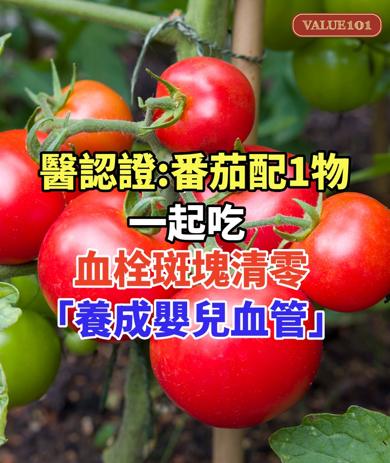 醫認證「番茄配1物」一起吃,血栓斑塊清零「養成嬰兒血管」!