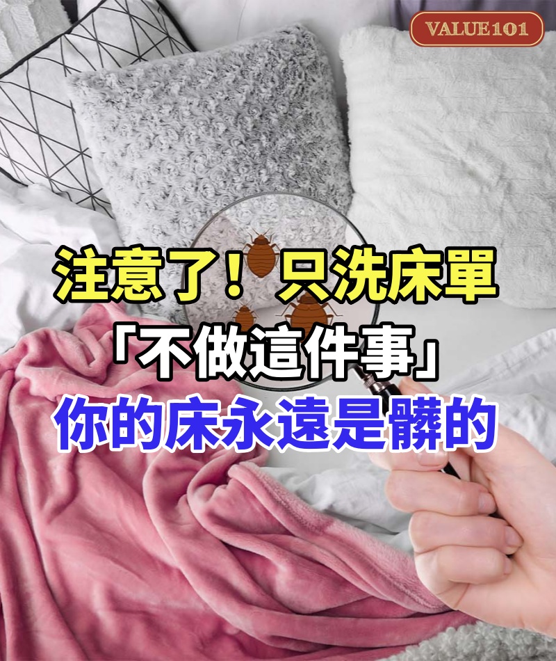 注意了!只洗床單「不做這件事」 你的床永遠是髒的