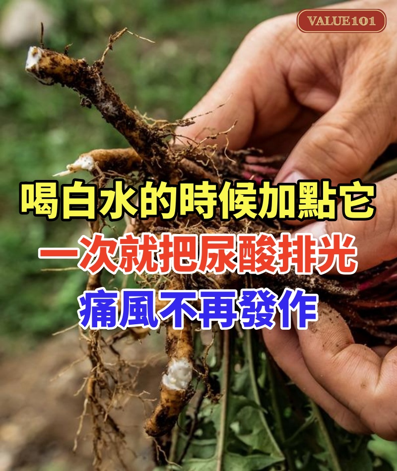 喝白水的時候加點它,一次就把尿酸排光!從此痛風不再發作