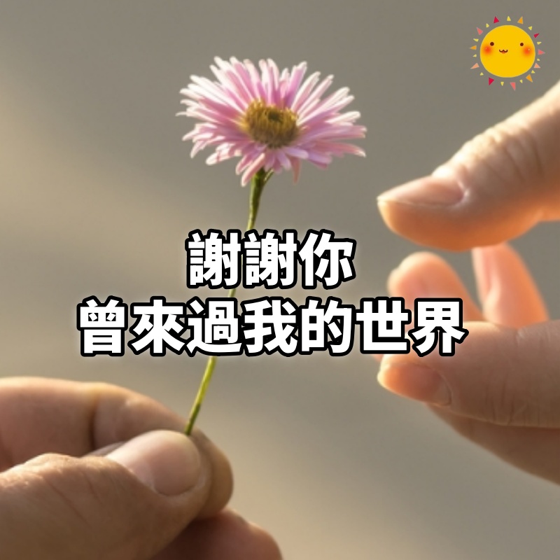 謝謝你,曾來過我的世界