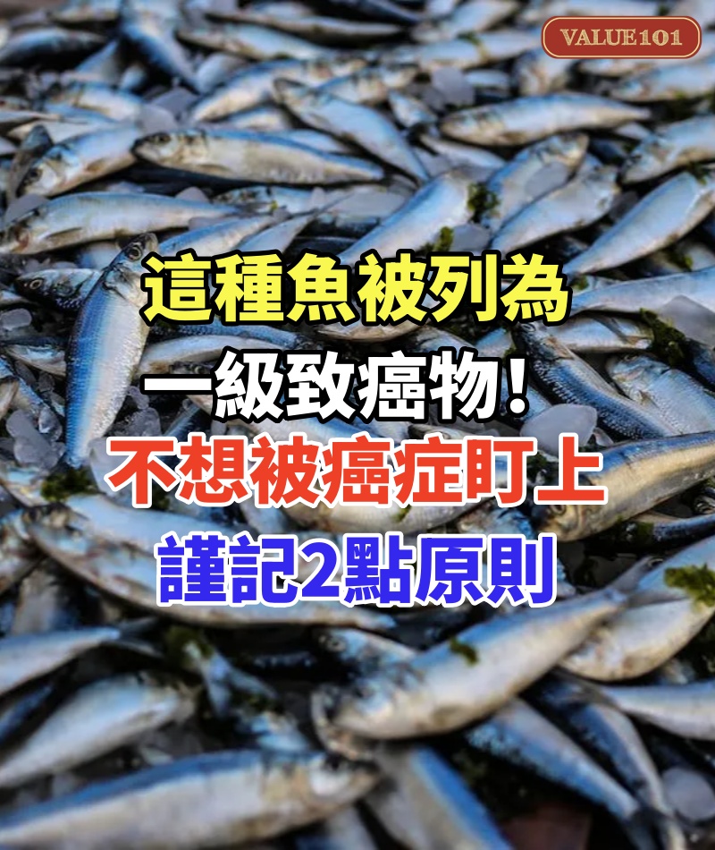 這種魚被列為一級致癌物!不想被癌症盯上,謹記2點原則
