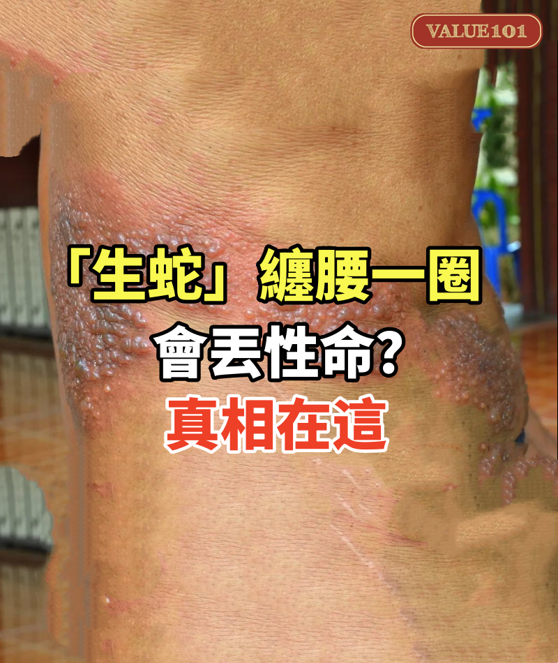 「生蛇」纏腰一圈會丟性命？真相在這