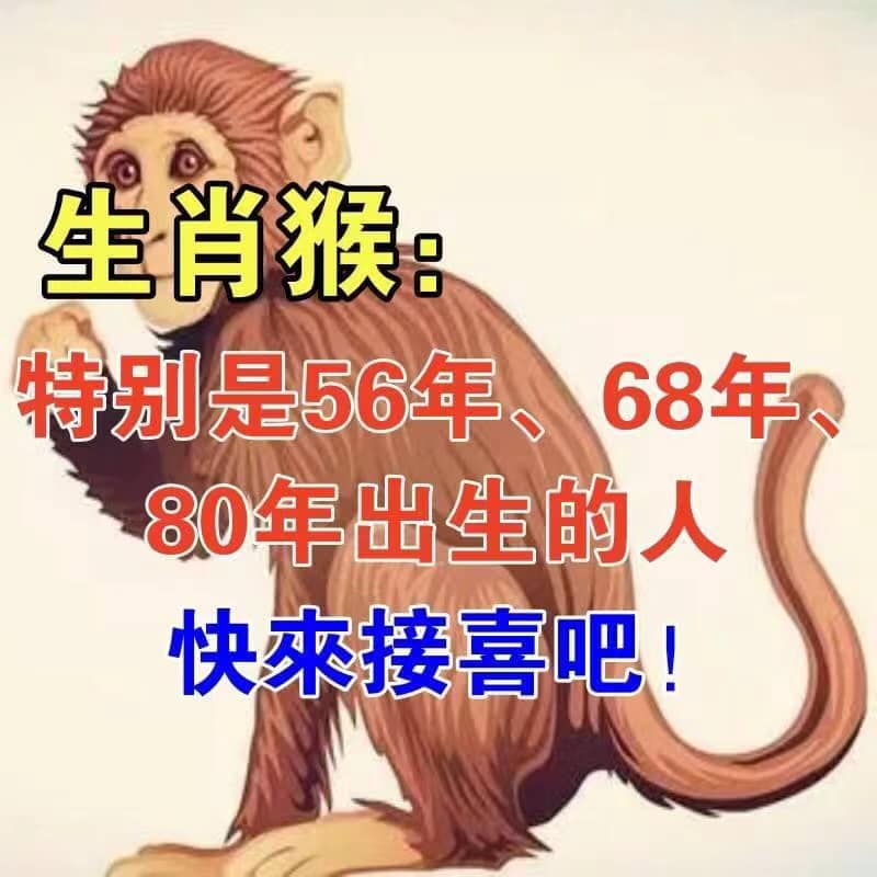 惹不起的生肖猴，特別是56年、68年、80年出生的人，屬猴的來看看